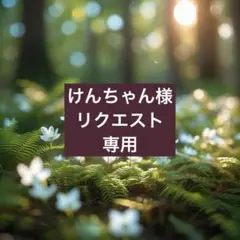 けんちゃん様リクエスト専用