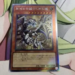 聖域を守護せし光の龍　エクストラシークレット　日版