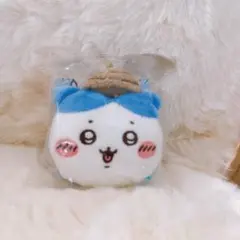 ちいかわ ぬいぐるみおかおメジャー（どんぐりハチワレ）
