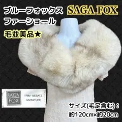 2025年最新】SAGA FOX ファーの人気アイテム - メルカリ