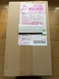 スペシャルBOX ポケモンセンタートウホク　新品未開封