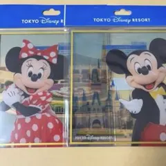 ディズニー 色紙 ミッキー ミニー ディズニーランド アクリル色紙 サインのサムネイル
