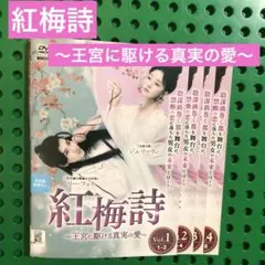花の告発 全13巻セット ウーチェン フーイーシュエン - メルカリ