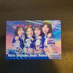 マイベイスターズ　カード　diana　Ibuki　　　　Reina　2025