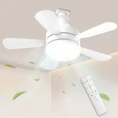 Item thumbnail for item c8d357bd-af8f-4bcc-bc76-40ac63cf2223