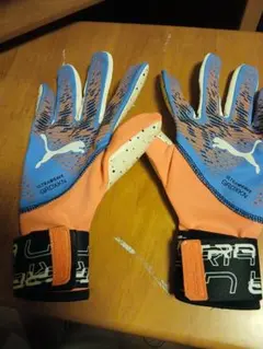 Item thumbnail for item 98a7edb0-df94-4224-ac4a-53a7eda9cc17