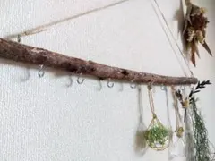 Item thumbnail for item 5470c690-7eae-43b7-a418-c909e7162b54