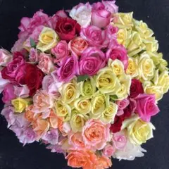 バラ B品 切り花・生花【画像現品】30㎝　80本　規格外品・お得品❗️産地直送④のサムネイル