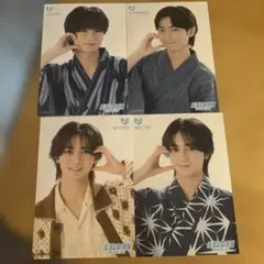 匿名配送 EBiDAN museum ICEx