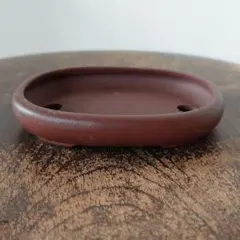 2025年最新】山秋 鉢の人気アイテム - メルカリ