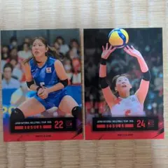 バレーボール女子日本代表 2026 関菜々巳 2枚セット