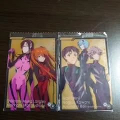 エヴァンゲリオン キャラクターカード 2枚セット