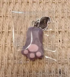 ディズニーストア　シークレットストラップ　猫の日
