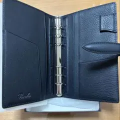 Item thumbnail for item cc92ba2b-d2b2-450a-a2b0-518b7e156438