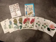 花柄クリスマスカードセット +その他カード