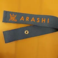 嵐を旅する展覧会　BEAMSコラボ　ラゲッジマーク青