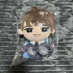 すのチル　BIGぬいぐるみ【渡辺】