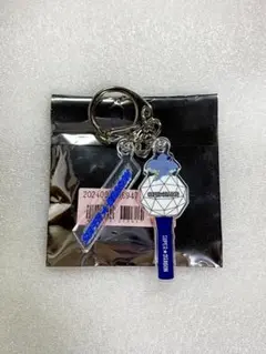 2025年最新】スパドラペンライトの人気アイテム - メルカリ