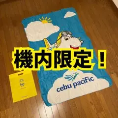 セブパシフィック航空 機内限定ブランケット 2枚あります