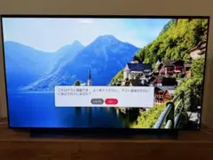 LG 有機ELテレビ OLED55C9PJA 55インチ 4K対応のサムネイル