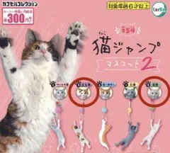 2026年最新】サバ白猫の人気アイテム - メルカリ