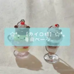 ☆*。【カイロ様】専用ページ☆*。