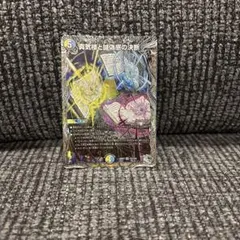 ［メルカリ便］真気楼と誠偽感の決断 パーフェクトペテンシー 銀トレジャー