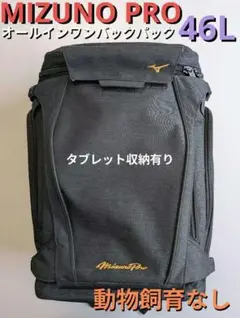 Item thumbnail for item a2ca39fe-d24e-4228-9944-5a730bb564bc