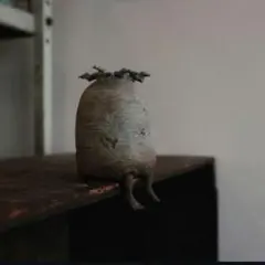 2025年最新】ozwrtの人気アイテム - メルカリ