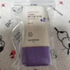 Item thumbnail for item 42394e89-b5e2-4f81-a0ee-29b6be1f6923