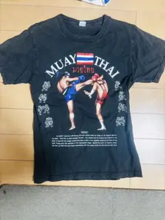 Item thumbnail for item 7dcece19-850b-4618-a578-9bf16a15602f