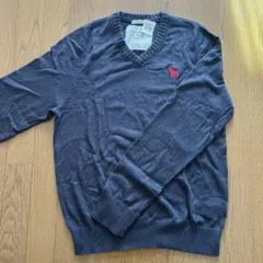 アバクロンビー&フィッチ メンズ ニット
