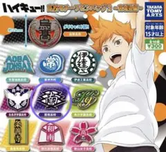 ハイキュー‼︎ 高校モチーフピンバッジ2〜宮城県編〜