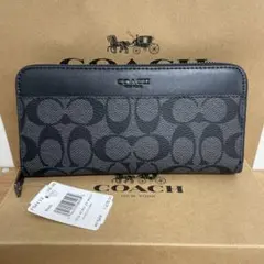 Item thumbnail for item 9685844c-0197-407e-aee9-16dcc4704878