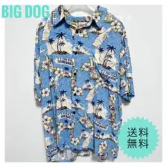 【90s 雰囲気抜群】Big Dogs アロハシャツ レーヨン ビール柄 青 L