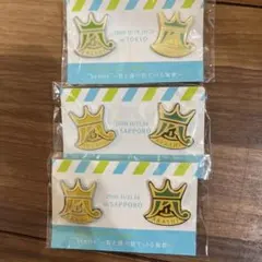 ARASHI 2010年コンサートピンバッジセット