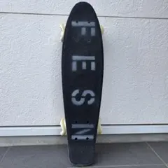 美品FESN KMKZクルーザー スケートボードデッキ KMKZ CRUISER !!│JAU / ジャウー | REMILLA, GOHEMP, AREth