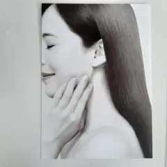 着画作成キット　ハンドメイド　ピアス　イヤリング　アクセサリ　モデル　写真　画像