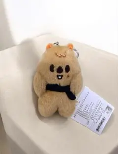Krush × ウェブポン 5点以上からのバラ売り可 - メルカリ
