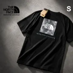 海外限定 THE NORTH FACE Gold Coast Tシャツ - メルカリ