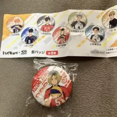 ［匿名配送］ハイキュー!! 缶バッジ　孤爪研磨