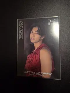 Item thumbnail for item 76bc8e3d-14dc-4633-8080-5a0ff5b1b190