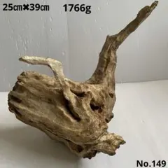 アク抜き済み流木　No.149 置き方いろいろ