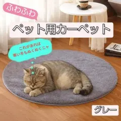 Item thumbnail for item 97c0f15b-1995-4638-abd4-2604c2402f9f