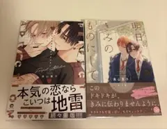 パーフェクトアディクション/明日、きみのものにして 美山薫子