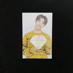 SEVENTEEN セブチ CARATLAND ディノ トレカ