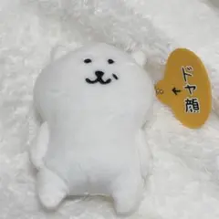 2025年最新】自分ツッコミくま ドヤ顔の人気アイテム - メルカリ