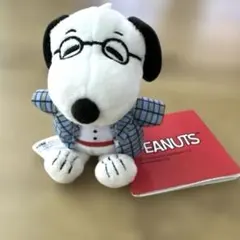 PEANUTSスヌーピー、いろいろコスチューム新品未使用‼️のサムネイル
