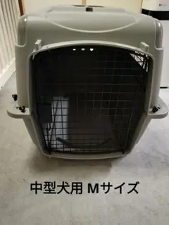 Item thumbnail for item 0d815f6d-e490-4bcf-82cc-091118b46687