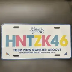 日向坂46 2025 プレート